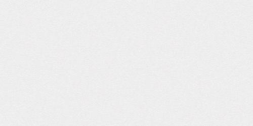 JOHNSON ELITE PLUS  MISTY WHITE 30X60cm